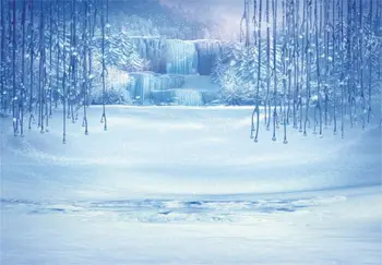 Žiemą Ledo ir Sniego Fone Balta Pasaulyje Fotografijos Fone Kalėdų Užšaldyti Kristalų Pakabukas Photo Booth Studija Rekvizitai - Nuotrauka 2  